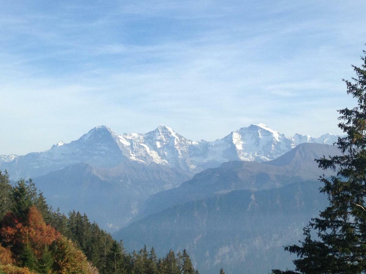 App. Seeblick Top Of Interlaken บีอาเตนแบร์ก ภายนอก รูปภาพ