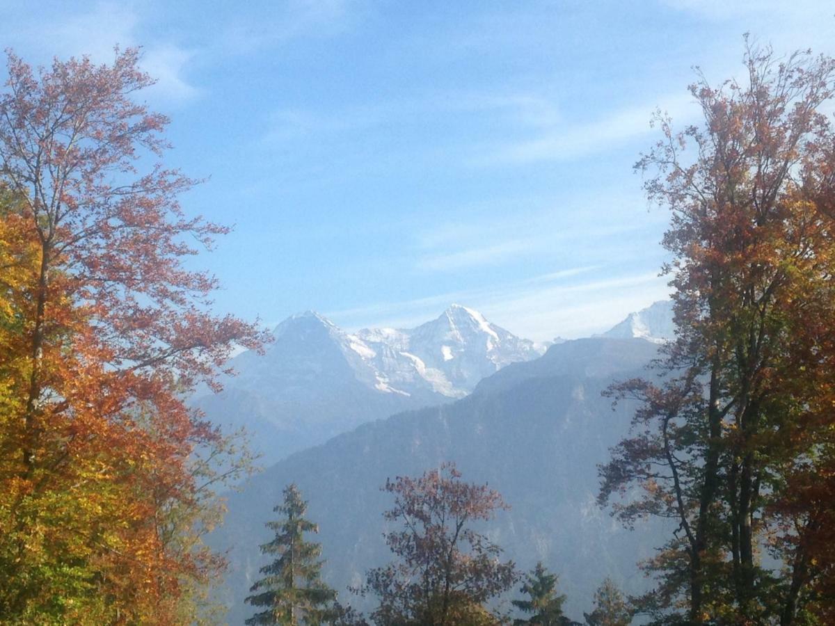 App. Seeblick Top Of Interlaken บีอาเตนแบร์ก ภายนอก รูปภาพ