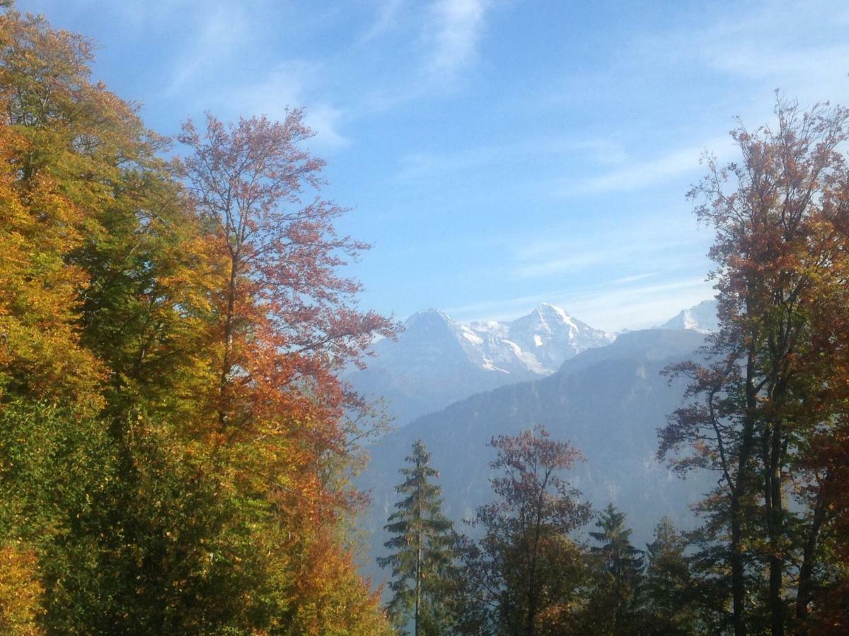 App. Seeblick Top Of Interlaken บีอาเตนแบร์ก ภายนอก รูปภาพ