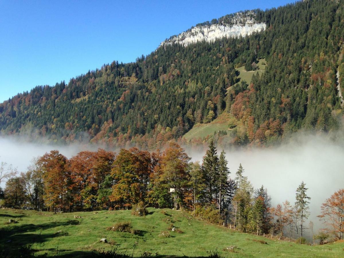 App. Seeblick Top Of Interlaken บีอาเตนแบร์ก ภายนอก รูปภาพ