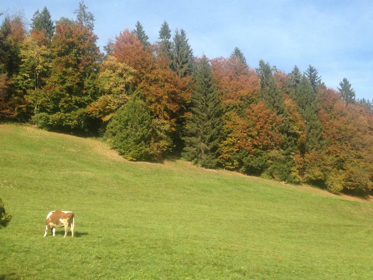 App. Seeblick Top Of Interlaken บีอาเตนแบร์ก ภายนอก รูปภาพ