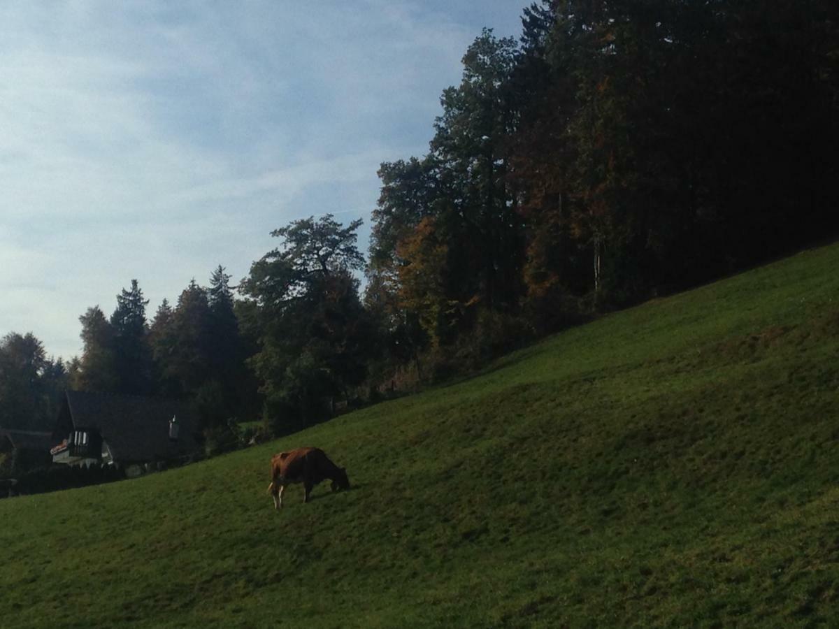 App. Seeblick Top Of Interlaken บีอาเตนแบร์ก ภายนอก รูปภาพ