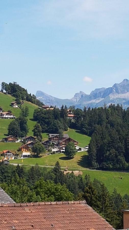 App. Seeblick Top Of Interlaken บีอาเตนแบร์ก ภายนอก รูปภาพ